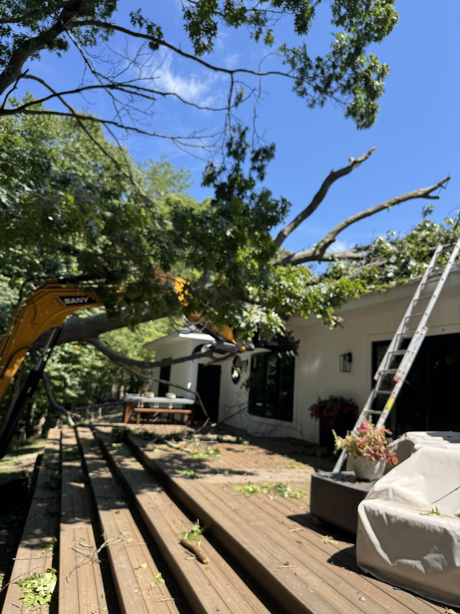 Fallen tree lying across a house roof and deck before storm damage cleanup in Dorchester County, Maryland